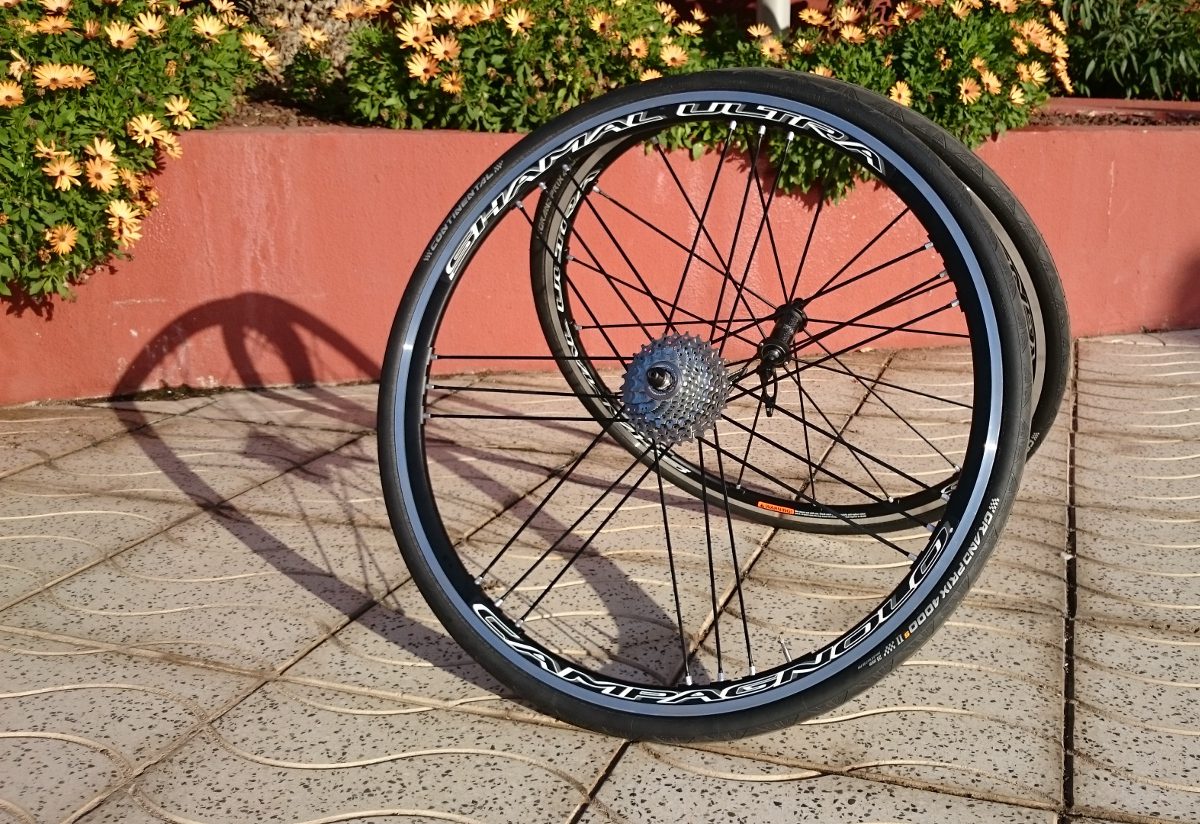 campagnolo shamal carbon disc