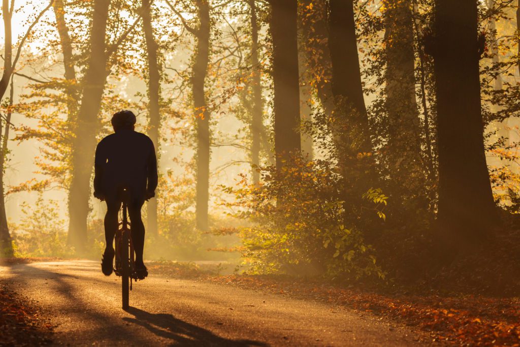 Silhouette of a biker in autumn on a sunny afternoon