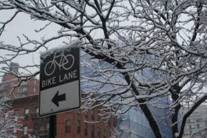Bike Lane Signage and winter trees covered with snow which was quite heavy.