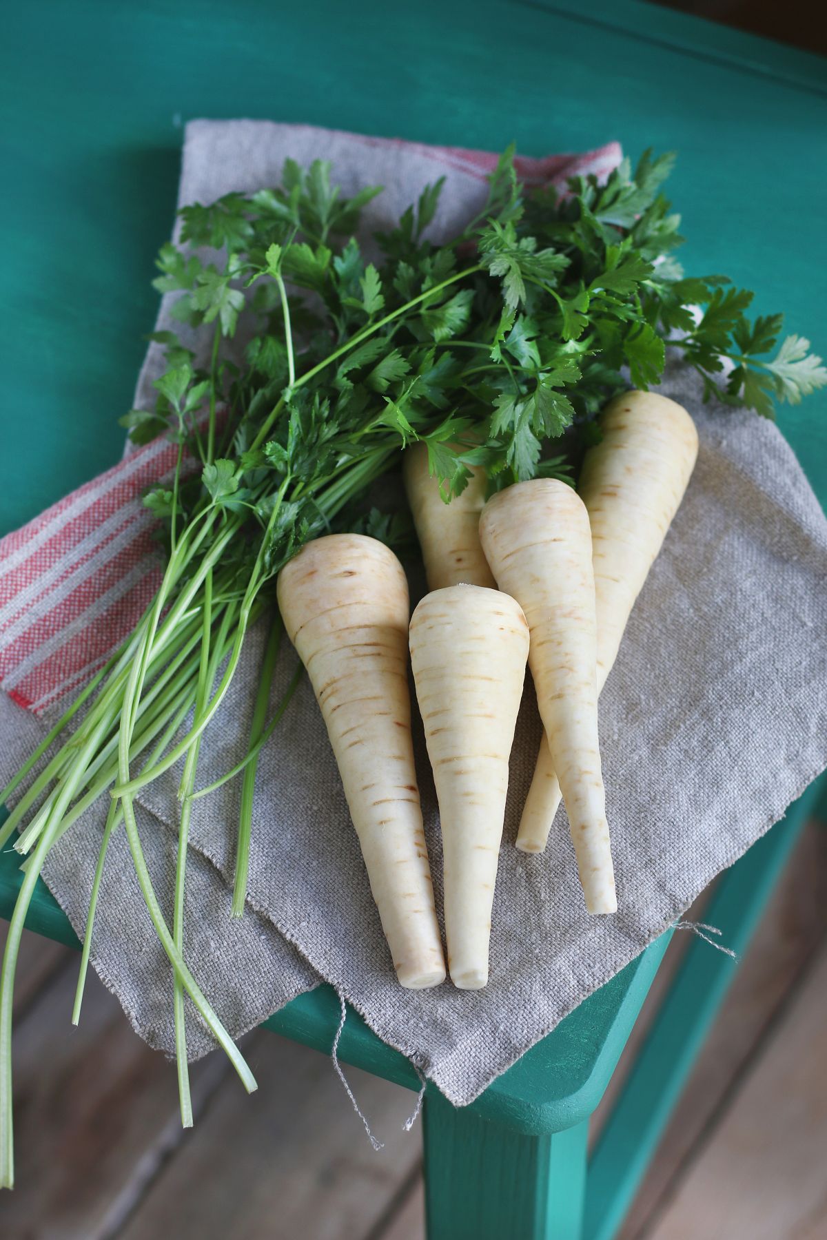 Fresh parsnips on green wooden chair