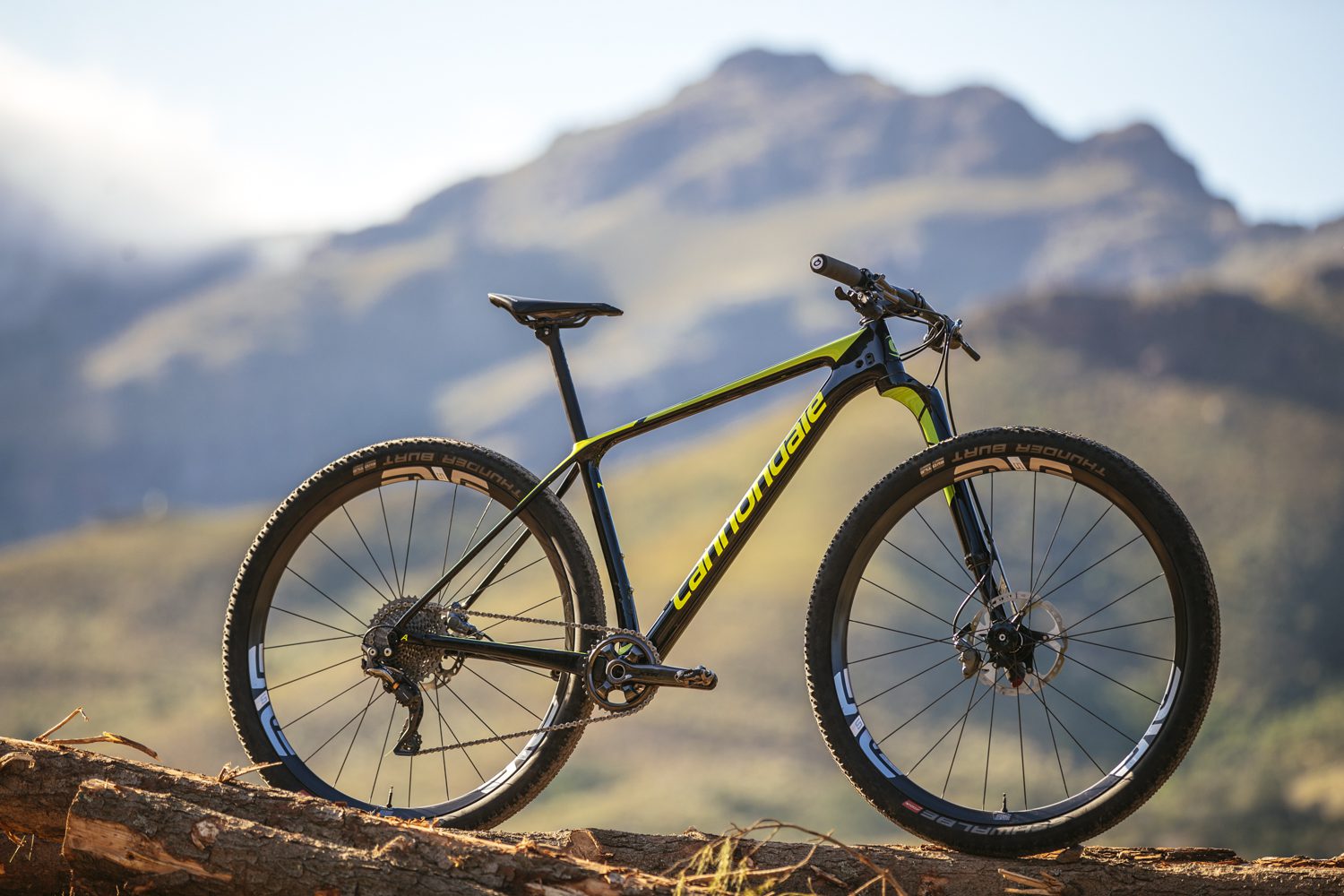 cannondale lefty full carbon 2019