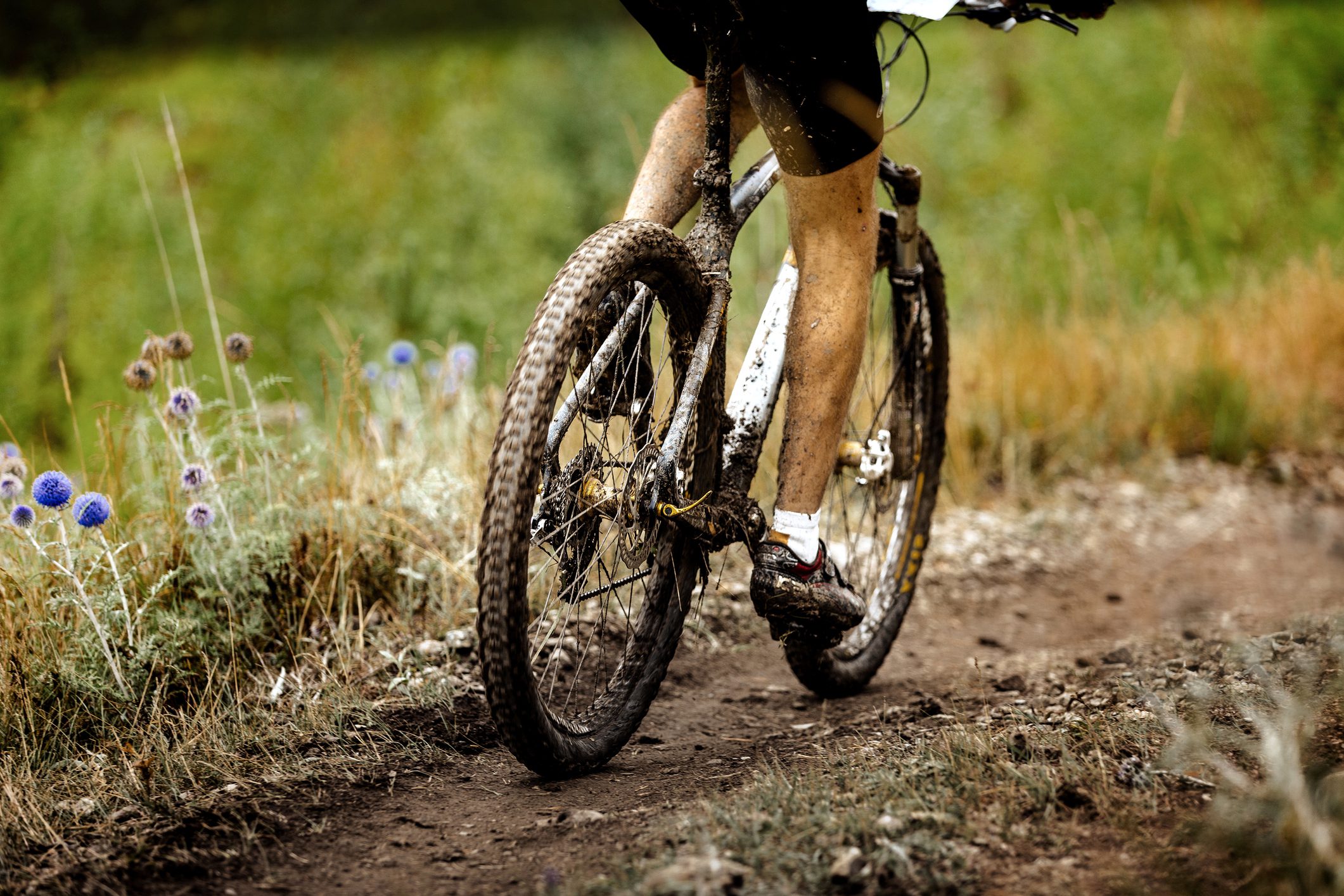 athlete cyclist dirty mountain bike biking in trail