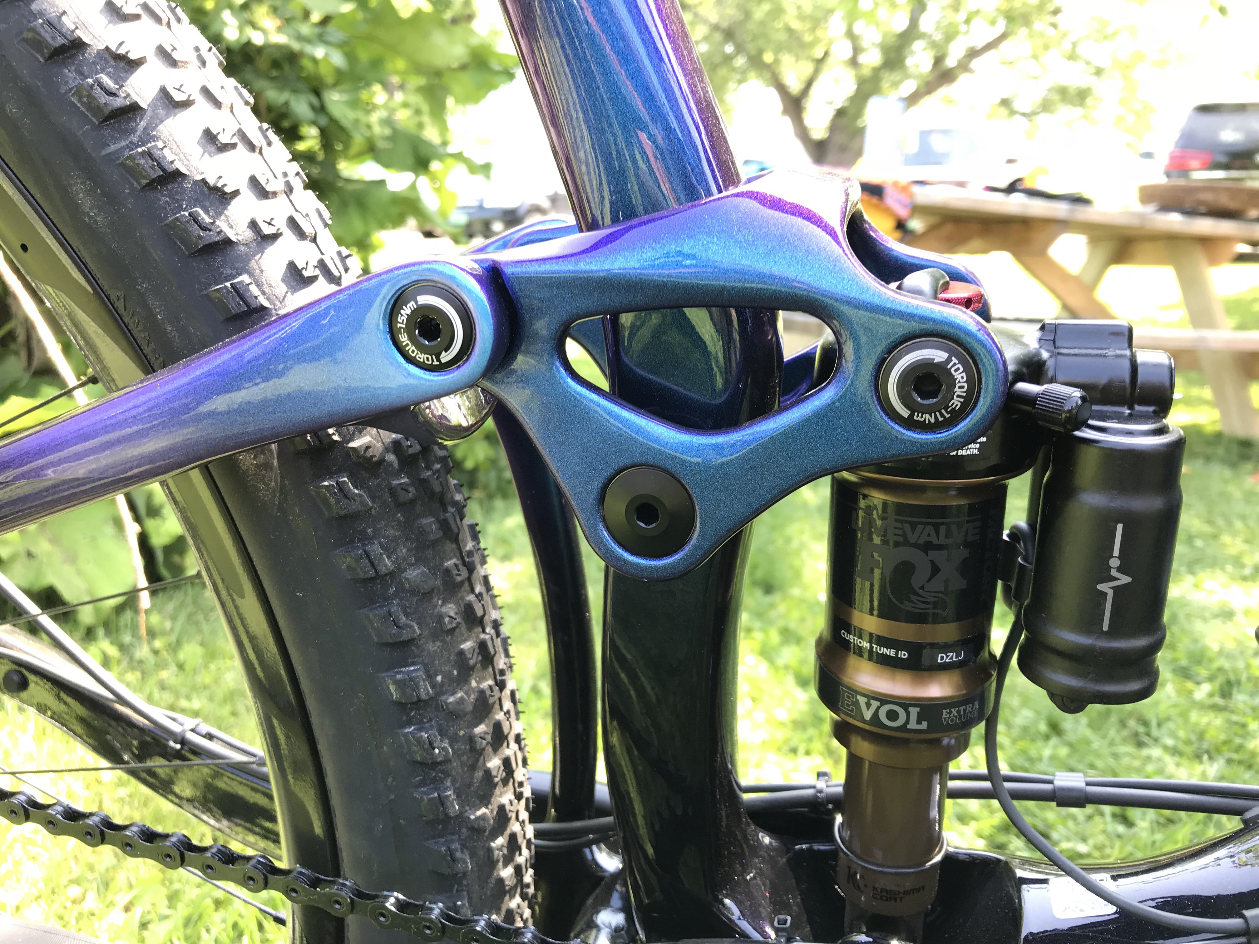 The Liv Pique 29 and the debut of a new carbon 29er mountain bike series