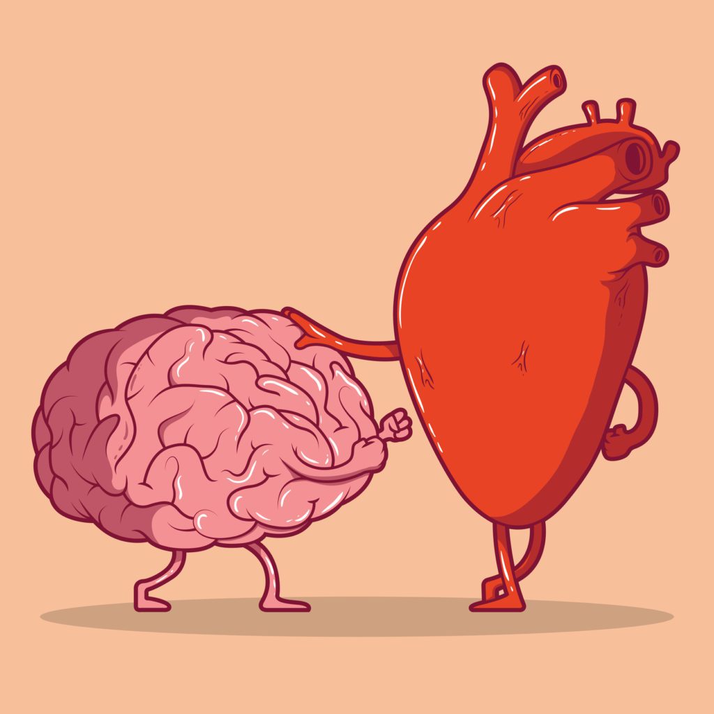 Heart and brain fighting vector illustration. Canadian