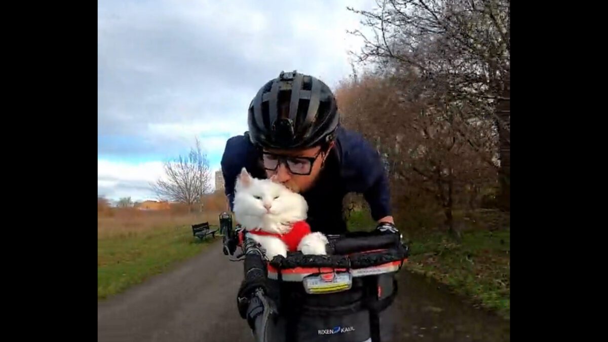 Man riding with cat on bike