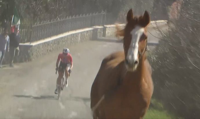 A loose horse atd Strade Bianche