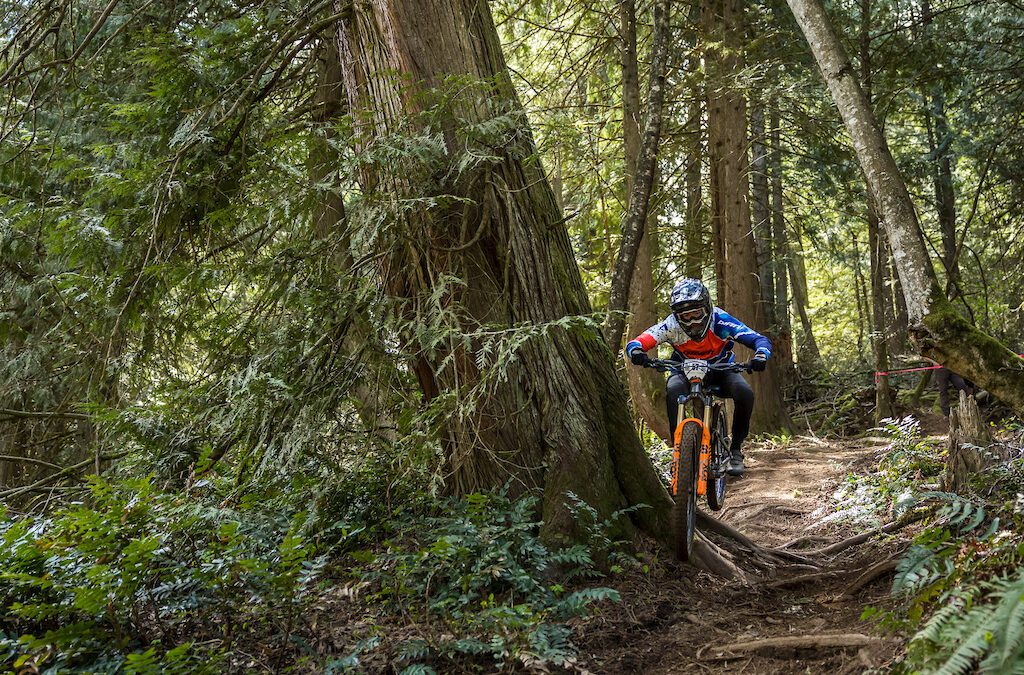 Lief Rodgers rides past a huge tree at Vedder Mountain during Canadian Enduro League