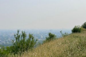 Haze from the wildfires in Quebec in Hamilton