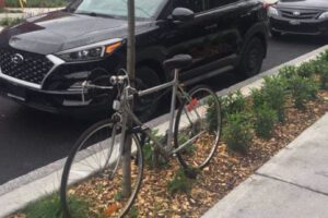 A bike locked to a tree