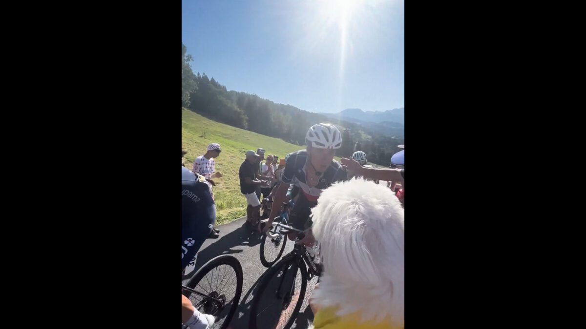 Valentin Madous and his dog in the Tour de France